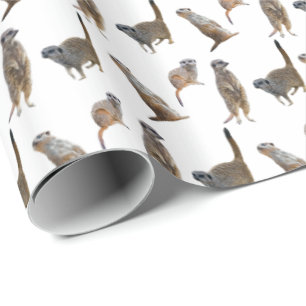 Meerkat Frenzy Wrapping Paper (Choose colour)