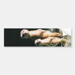 Meerkat Friends Bumper Sticker