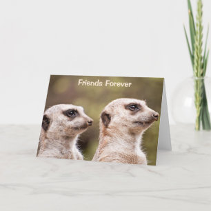 Meerkat Friends Forever Personalised Greeting Card