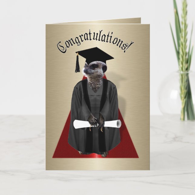 Meerkat Graduate Card (Front)