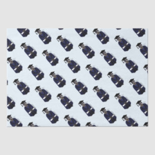 Meerkat Graduate Gown Graduation Tissue Paper