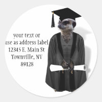Meerkat Graduate W/Grey Gown & Black Sash