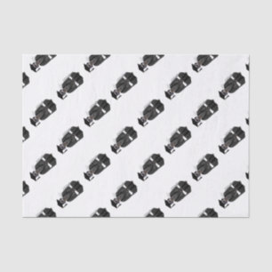 Meerkat Graduate W/Grey Gown & Black Sash Tissue Paper
