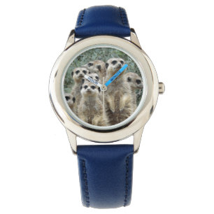 Meerkat-Group 001 Watch