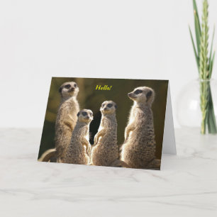 Meerkat group Hello! Card