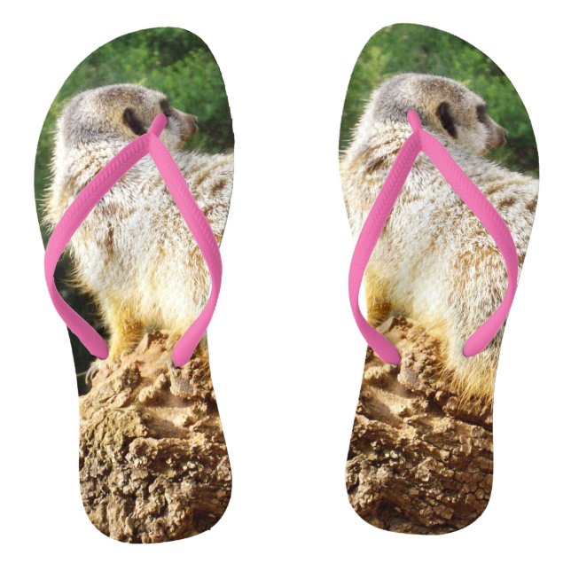 Meerkat I  Spy, Flip Flops (Footbed)