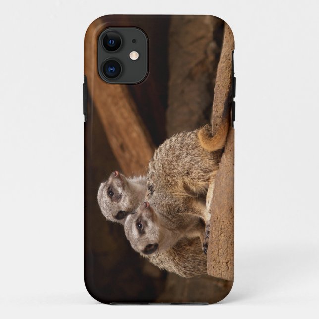 Meerkat iPhone 5 Case-Mate iPhone Case (Back)
