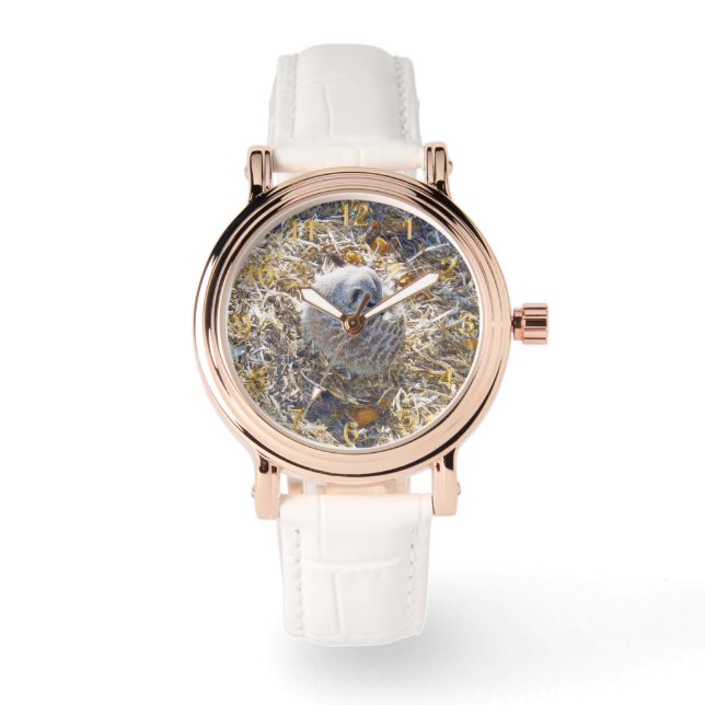 Meerkat Is Building A Nest, Watch (Front)