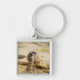 Meerkat Key Ring