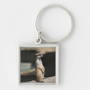 Meerkat Key Ring