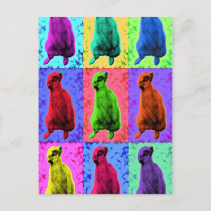 Meerkat Looking Up Pop Art Popart Multi-Panel Postcard