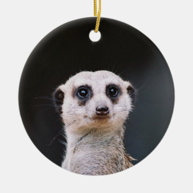 Meerkat Lookout Ornament (Front)