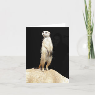 Meerkat Love  Holiday Card