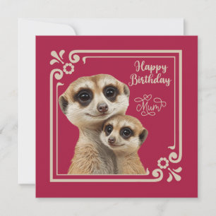 Meerkat Loving Moments Mum's Birthday Card