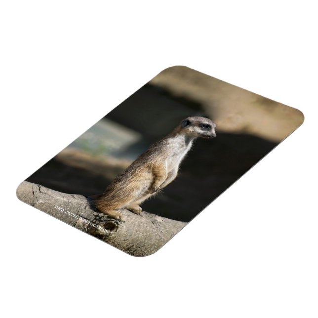 Meerkat Magnet (Left Side)