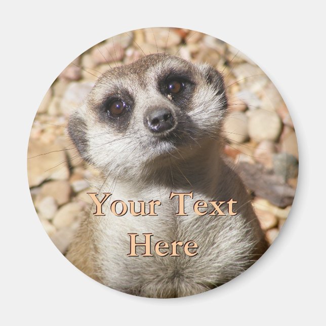 Meerkat Magnet (Front)