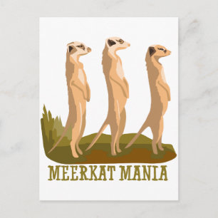 Meerkat Mania Postcard