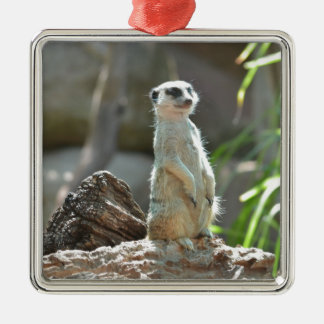 Meerkat Metal Ornament