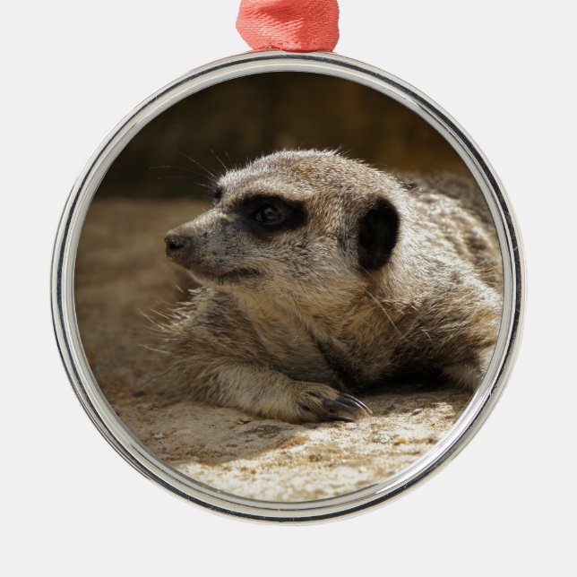 Meerkat Metal Tree Decoration (Front)
