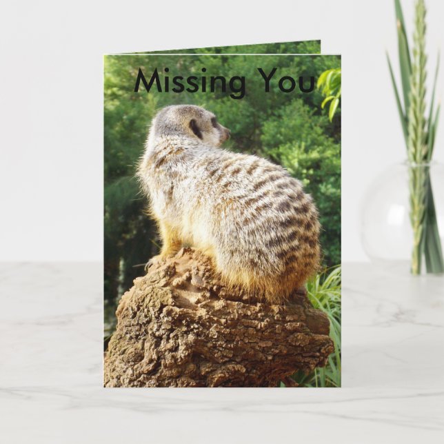 Meerkat Missing You, Card (Front)