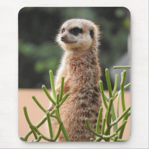 Meerkat Mouse Pad