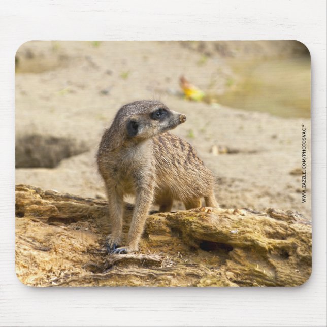 Meerkat Mouse Pad (Front)