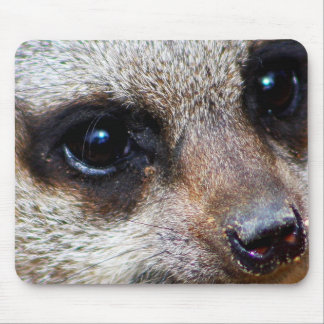 Meerkat Mouse Pad