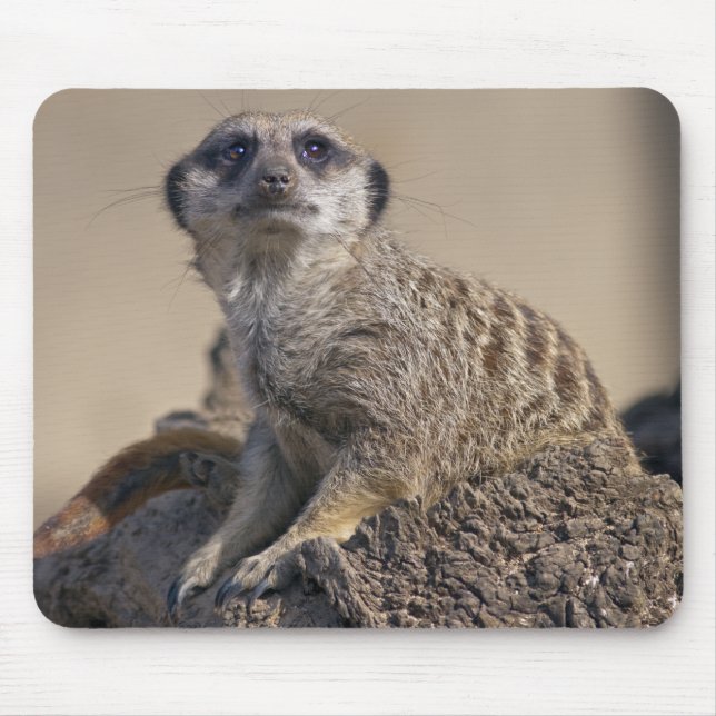 Meerkat Mousemat (Front)