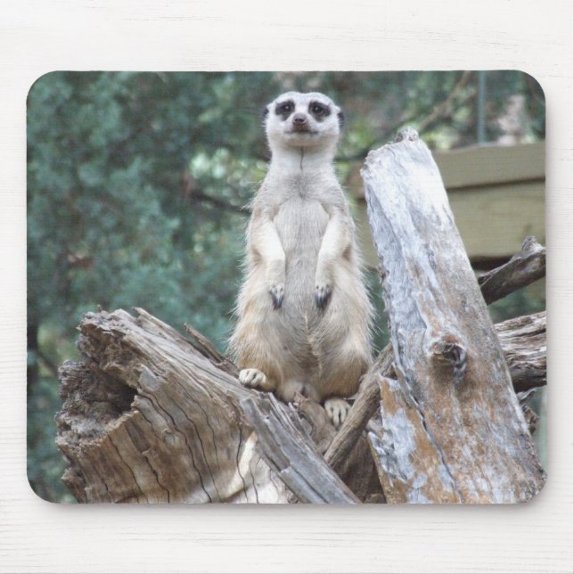 Meerkat Mousepad (Front)