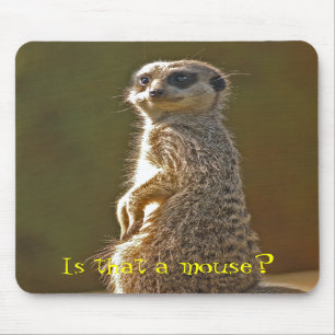 Meerkat Mousepad c