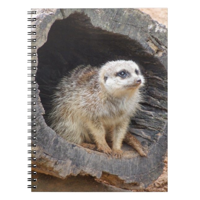 Meerkat Notebook (Front)