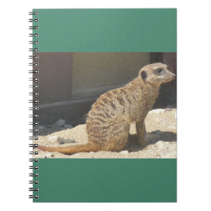 Meerkat Notebook