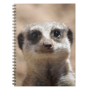 Meerkat Notebook