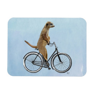 Meerkat on Bicycle 2 Magnet