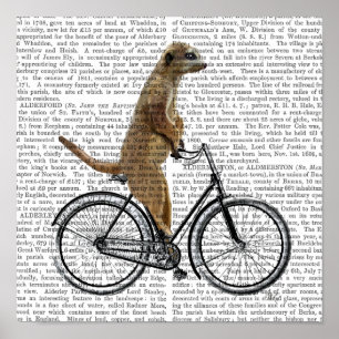 Meerkat on Bicycle Poster