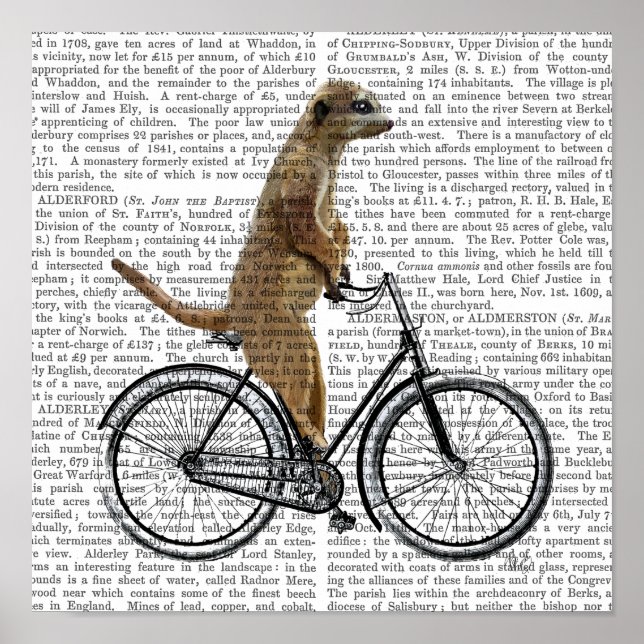 Meerkat on Bicycle Poster (Front)