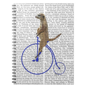 Meerkat On Blue Penny Farthing Notebook