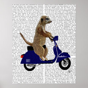 Meerkat on Dark Blue Moped Poster