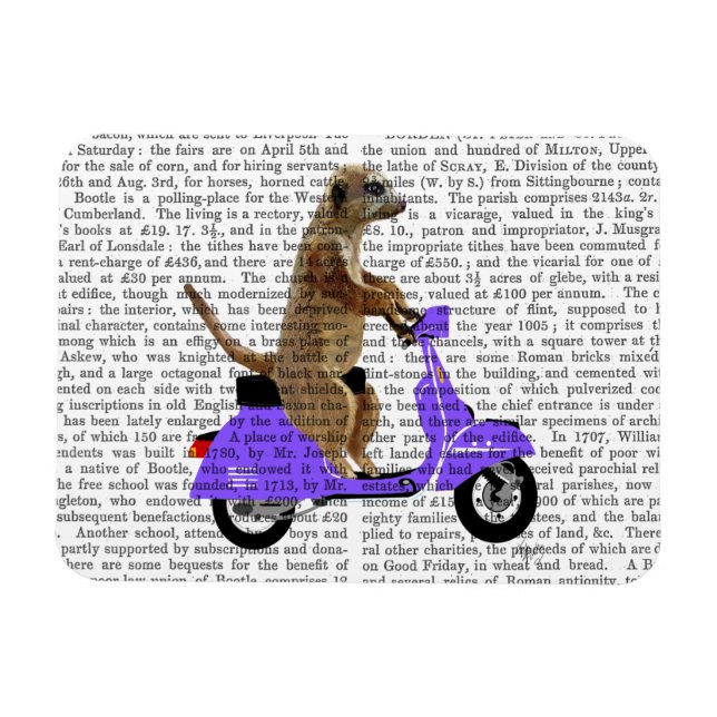 Meerkat on Lilac Moped Magnet (Horizontal)