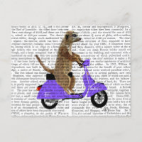 Meerkat on Lilac Moped