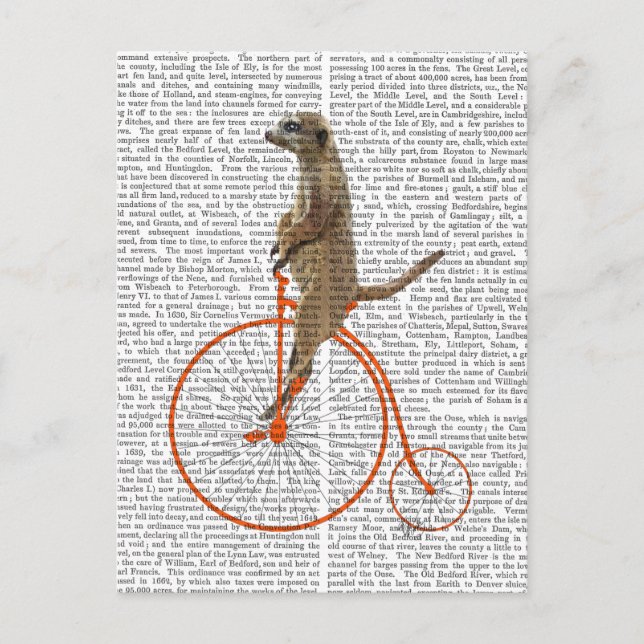Meerkat on Orange Penny Farthing Postcard (Front)