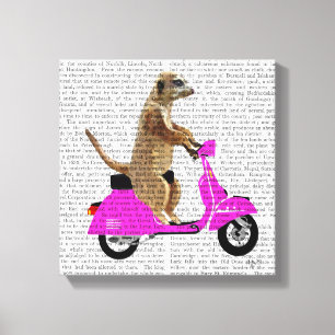 Meerkat on Pink Moped Canvas Print