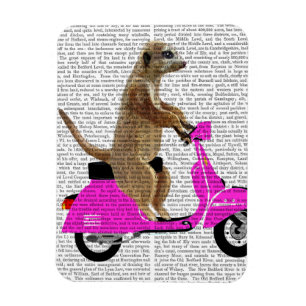 Meerkat on Pink Moped Magnet