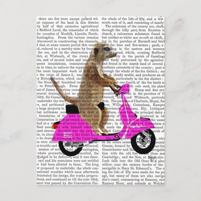 Meerkat on Pink Moped Postcard (Front)