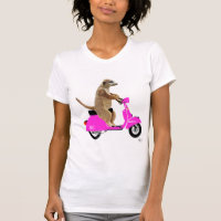 Meerkat on Pink Moped