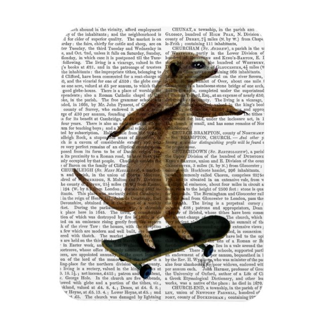 Meerkat On Skateboard 2 Magnet (Vertical)