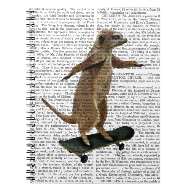 Meerkat On Skateboard 2 Notebook (Front)
