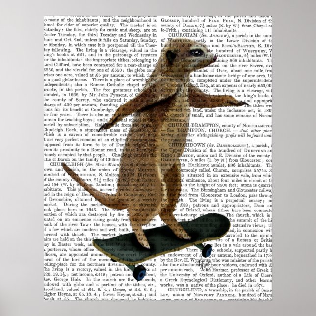 Meerkat On Skateboard Poster (Front)