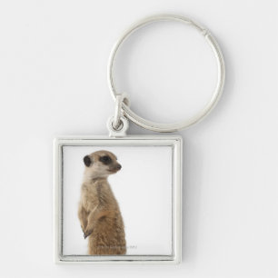 Meerkat or Suricate - Suricata suricatta Key Ring