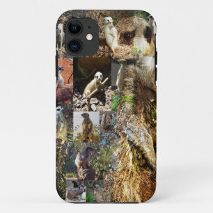 Meerkat Photo Collage And Shadow Meerkat, iPhone 11 Case